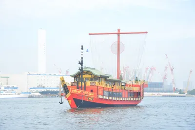 DSC_3427 (Large).JPG